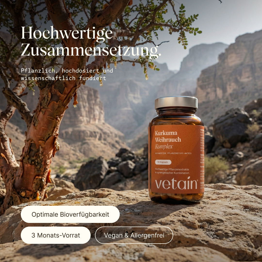 Vetains Kurkuma Weihrauch Komplex in hochwertiger Zusammensetzung. Pflanzlich, hochdosiert und wissenschaftlich fundiert. Optimale Bioverfügbarkeit, 3 Monats-Vorrat, vegan & allergenfrei. Kurkuma Weihrauch Glas steht auf einem Feld in felsiger trockener Umgebung neben einem Weihrauchbaum