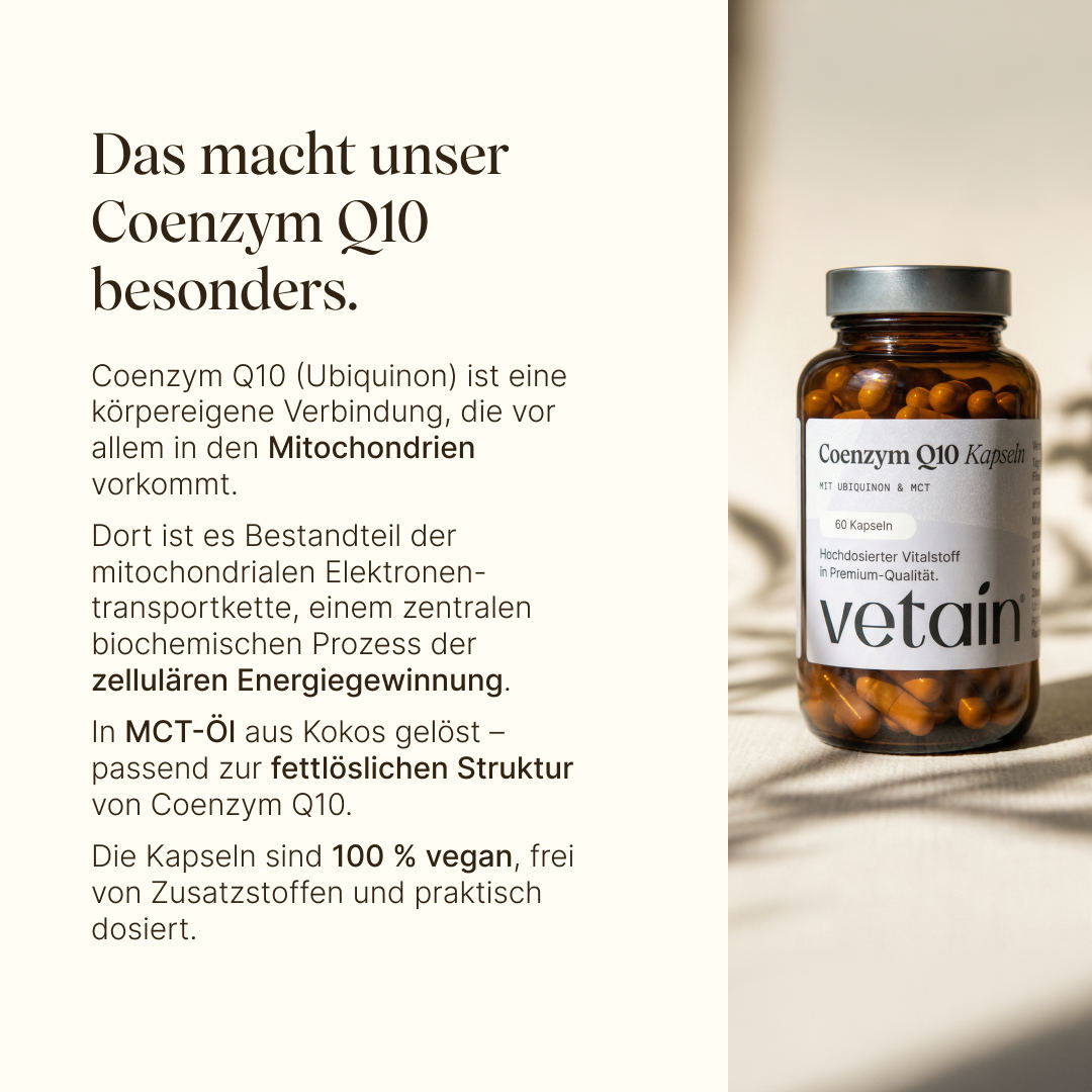 Vetains Coenzym Q10 Kapseln. Q10 als körpereigene Verbindung, die vor allem in den Mitochondrien vorkommt. Für die zelluläre Energiegewinnung. In MCT-Öl aus Kokos gelöst, passend zur fettlöslichen Struktur von Q10