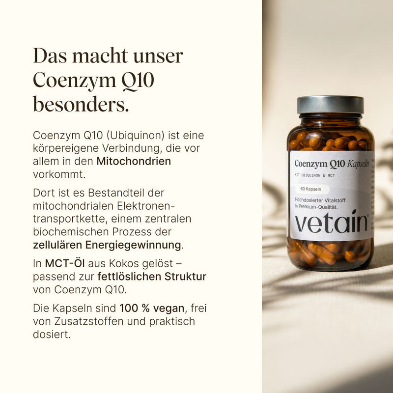 Vetains Coenzym Q10 Kapseln. Q10 als körpereigene Verbindung, die vor allem in den Mitochondrien vorkommt. Für die zelluläre Energiegewinnung. In MCT-Öl aus Kokos gelöst, passend zur fettlöslichen Struktur von Q10