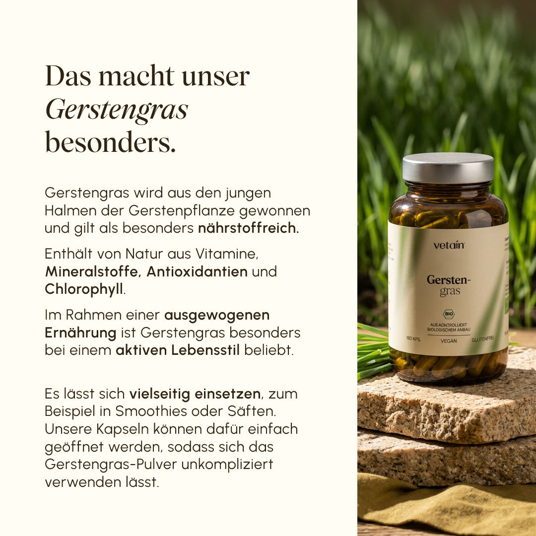 Vetain Gerstengras Bio-Kapseln (180 Kps, vegan, glutenfrei) auf einem Naturstein vor frischem Gerstengras im Hintergrund. Text beschreibt die Besonderheiten: nährstoffreiches Gerstengras aus jungen Halmen mit Vitaminen, Mineralstoffen, Antioxidantien und Chlorophyll. Ideal für aktiven Lebensstil, Kapseln können für Smoothies oder Säfte geöffnet werden.