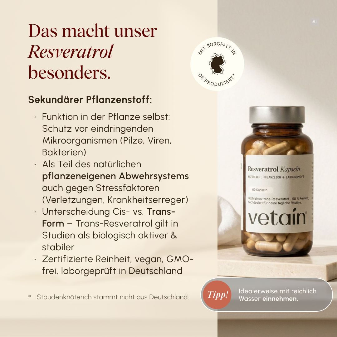 KI-generiertes Bild: Vetain Resveratrol Kapseln auf Steinplatte, daneben Infos zu trans-Resveratrol als sekundärem Pflanzenstoff