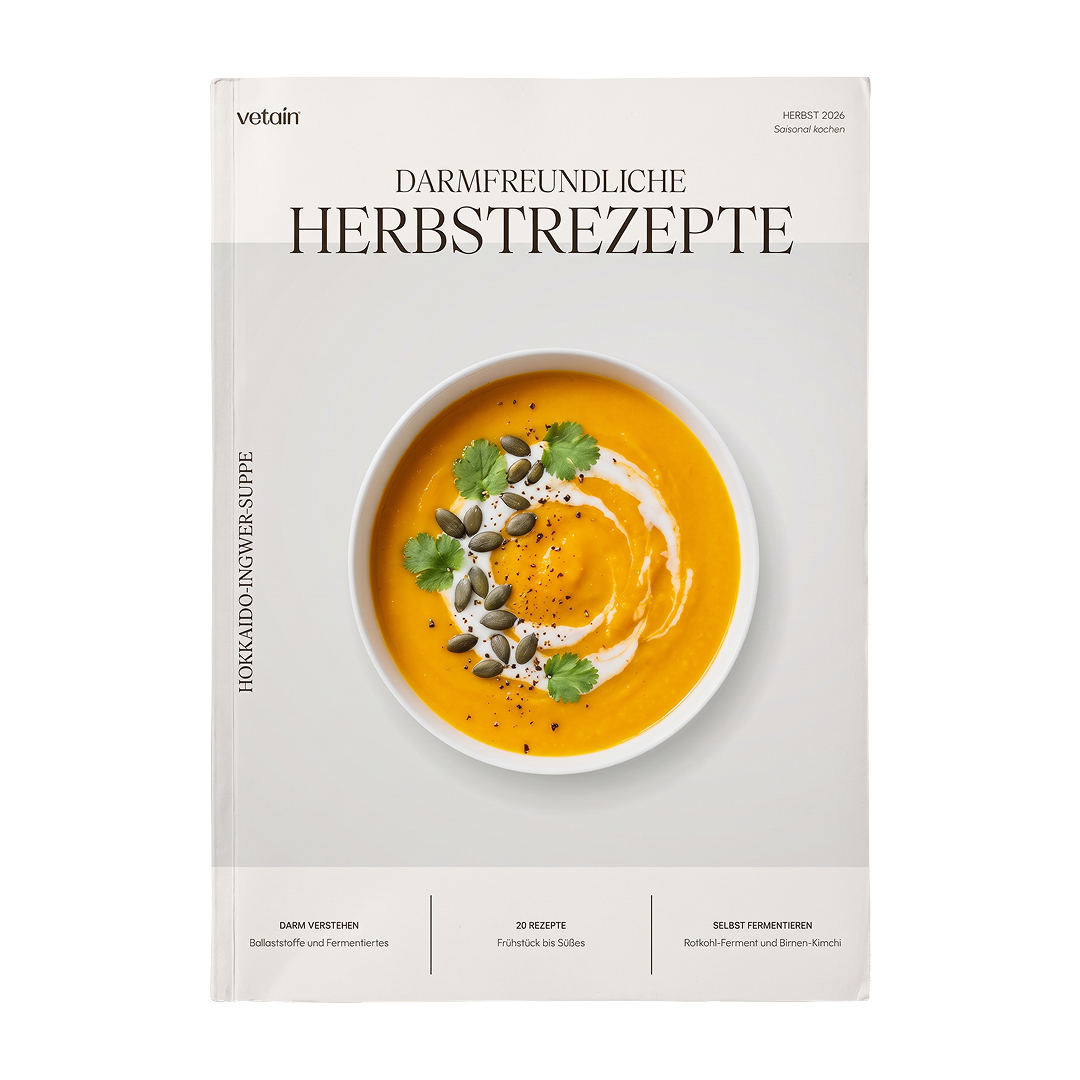 Vetain eBook „Darmfreundliche Herbstrezepte“ – Cover mit Hokkaido-Ingwer-Suppe, 20 vegane Rezepte von Frühstück bis Süßes