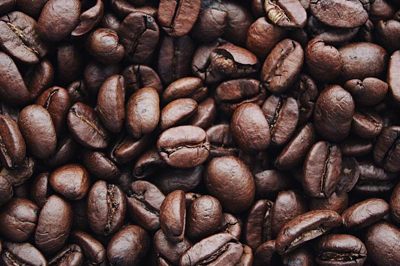 Echter Bio Kaffee